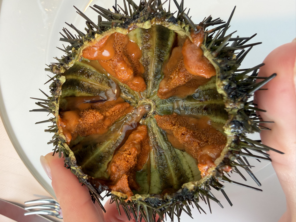 Melisa Ozkok profil fotoğrafı